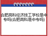 合肥高科经济技工学校是中专吗(合肥高科是中专吗)
