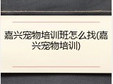 嘉兴宠物培训班怎么找(嘉兴宠物培训)
