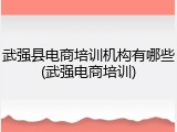武强县电商培训机构有哪些(武强电商培训)