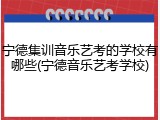 宁德集训音乐艺考的学校有哪些(宁德音乐艺考学校)
