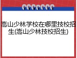 嵩山少林学校在哪里技校招生(嵩山少林技校招生)