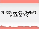 河北哪有学动漫的学校啊(河北动漫学校)