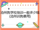 沧州狗学校培训一般多少钱(沧州训狗费用)