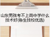 山东男孩考不上高中学什么技术好(鲁生技校优选)