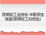 昆明轻工业技校 中职招生简章(昆明轻工校招生)