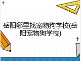 岳阳哪里找宠物狗学校(岳阳宠物狗学校)