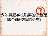 少年舞蹈学校跳舞的职校是哪个(职校舞蹈少年)