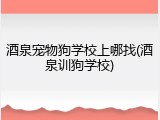 酒泉宠物狗学校上哪找(酒泉训狗学校)