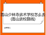 嵩山少林寺武术学校怎么去(嵩山武校路线)