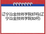 辽宁冶金技师学院好吗(辽宁冶金技师学院如何)