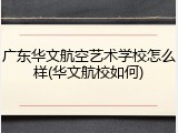 广东华文航空艺术学校怎么样(华文航校如何)