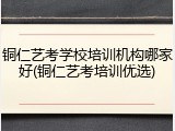 铜仁艺考学校培训机构哪家好(铜仁艺考培训优选)