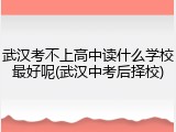武汉考不上高中读什么学校最好呢(武汉中考后择校)