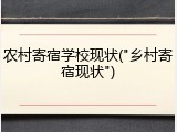 农村寄宿学校现状("乡村寄宿现状")
