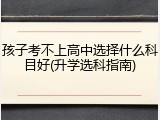 孩子考不上高中选择什么科目好(升学选科指南)