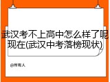 武汉考不上高中怎么样了呢现在(武汉中考落榜现状)