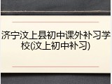 济宁汶上县初中课外补习学校(汶上初中补习)