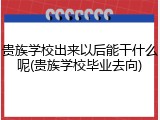 贵族学校出来以后能干什么呢(贵族学校毕业去向)