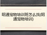 昭通宠物培训班怎么找(昭通宠物培训)