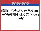 郑州中岳少林文武学校有中专吗(郑州少林文武学校有中专)