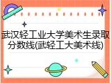 武汉轻工业大学美术生录取分数线(武轻工大美术线)
