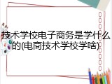 技术学校电子商务是学什么的(电商技术学校学啥)