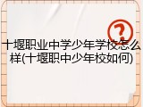 十堰职业中学少年学校怎么样(十堰职中少年校如何)