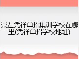 崇左凭祥单招集训学校在哪里(凭祥单招学校地址)