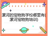漯河的宠物狗学校哪里有(漯河宠物狗培训)