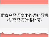 伊春乌马河高中外语补习机构(乌马河外语补习)