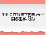 平阴县在哪里学挖机好(平阴哪里学挖机)