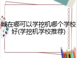 城在哪可以学挖机哪个学校好(学挖机学校推荐)