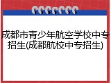 成都市青少年航空学校中专招生(成都航校中专招生)