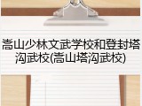 嵩山少林文武学校和登封塔沟武校(嵩山塔沟武校)