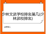 少林文武学校排名第几(少林武校排名)
