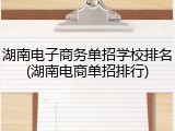 湖南电子商务单招学校排名(湖南电商单招排行)
