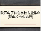 陕西电子信息学校专业排名(陕电校专业排行)