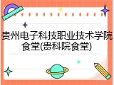 贵州电子科技职业技术学院食堂(贵科院食堂)