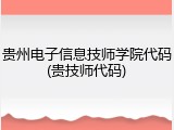 贵州电子信息技师学院代码(贵技师代码)