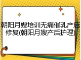 朝阳月嫂培训无痛催乳产后修复(朝阳月嫂产后护理)