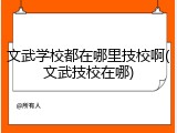 文武学校都在哪里技校啊(文武技校在哪)