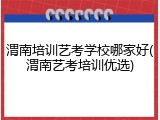 渭南培训艺考学校哪家好(渭南艺考培训优选)