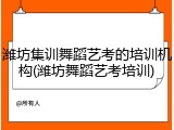 潍坊集训舞蹈艺考的培训机构(潍坊舞蹈艺考培训)