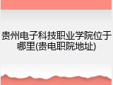 贵州电子科技职业学院位于哪里(贵电职院地址)