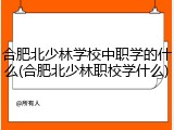 合肥北少林学校中职学的什么(合肥北少林职校学什么)