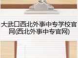 大武口西北外事中专学校官网(西北外事中专官网)