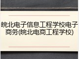 皖北电子信息工程学校电子商务(皖北电商工程学校)