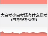 大自考小自考还有什么报考(自考报考类型)