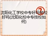 沈阳化工学校中专好吗技校好吗(沈阳化校中专技校如何)