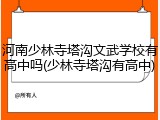 河南少林寺塔沟文武学校有高中吗(少林寺塔沟有高中)